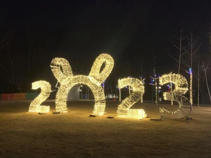 2023 Rabbit-Ear Number Light Display — szd003