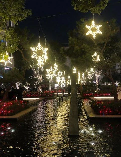 Golden Hanging Star Light Canopy — DP023